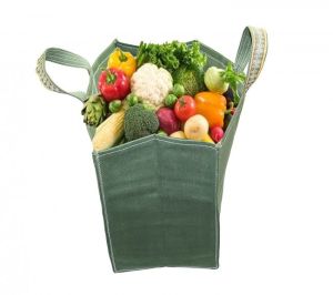 Canvas Vegetable Shopping Grocery Bag