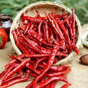Dried Red Chilli Without Steam