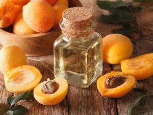 Apricot Carrier Oil