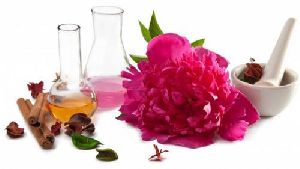 Carnation Absolute Oil