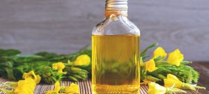 Evening Primrose Carrier Oil