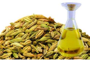 Fennel Essential Oil