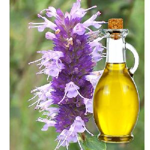 Hyssop Essential Oil