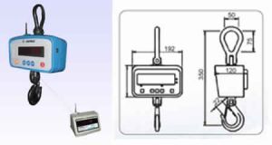 CRANE SCALES ( 100g to 2ton )