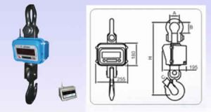 CRANE SCALES ( 500g to 10ton )