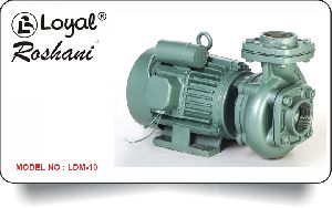 LDM 10 Centrifugal Monoblock Pump