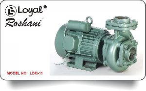 LDM 11 Centrifugal Monoblock Pump