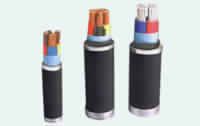 PVC AND XLPE Insulated Power Cables