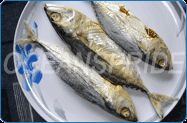 Dried and Salted Mackerel