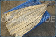 Dried and Salted Parrot fish