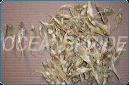 Dried Small Golden Anchovies