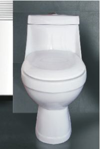 One Piece Water Closet