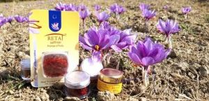 1 GM & 0.5 GM Blister Card Saffron Packet