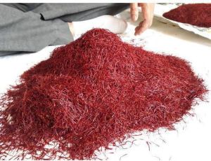 Fresh Kashmiri Saffron Flowers