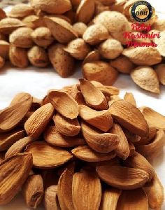 Kashmiri Mamra almonds