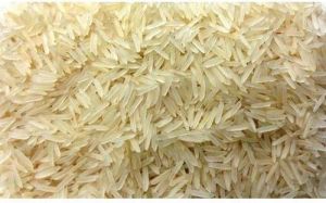 1121 Sharbati Basmati Rice