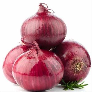 Bhagva Red Onion