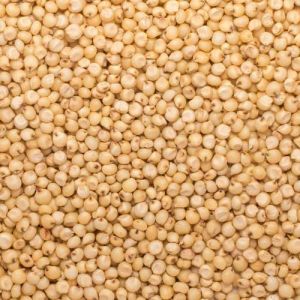 Natural Jowar Seeds