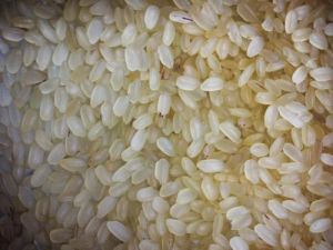 Ponni Short Grain Non Basmati Rice