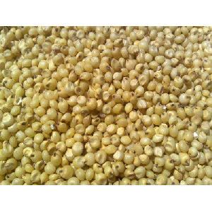 Pure Natural Jowar Seeds