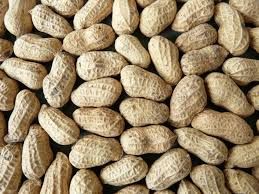 Indian Groundnuts