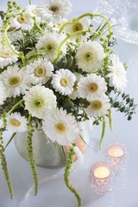 Decorative White Fiery Gerbera