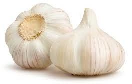 Fresh Organic Garlic