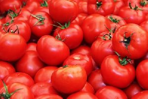 Fresh Red Tomato