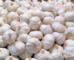 Fresh White Garlic