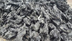 root charcoal
