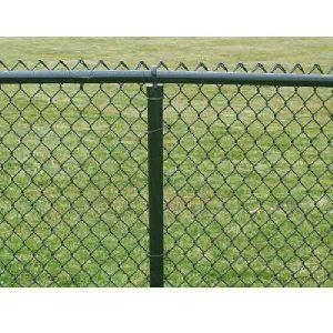 Chain Link Garden Fence