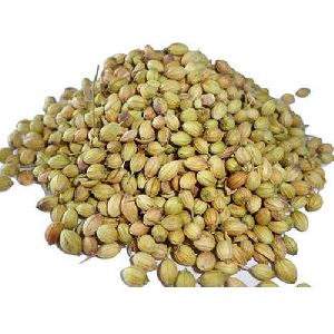 pure coriander seeds