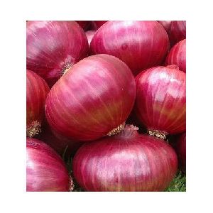 Big Red Onion