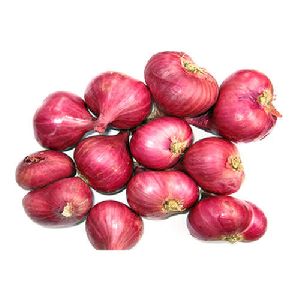 Small Red Onion