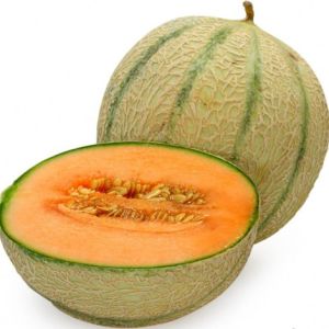 Fresh Muskmelon