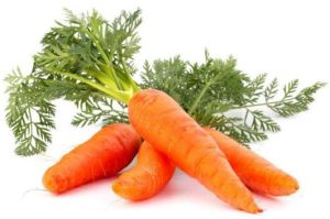 Fresh Carrot