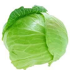 Fresh Cabbage