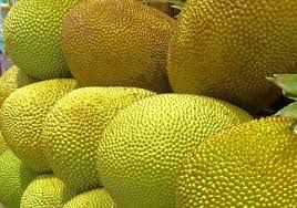 Fresh Jackfruit