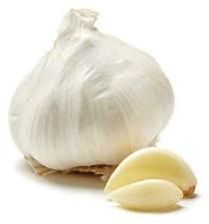 Organic Garlic