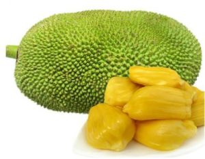 Organic Jackfruit