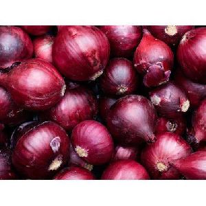 organic red onion