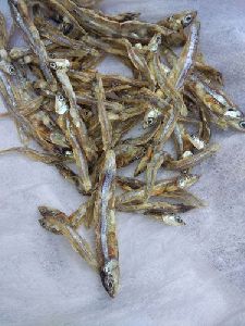 Dried Anchovy Fish