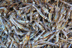 Dried Mandeli Fish