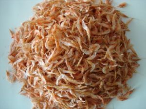 Dried Shrimp fish