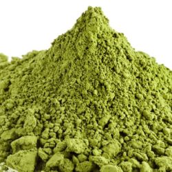Munaga Leaf Powder