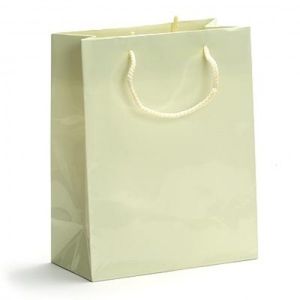 Laminated Paper Bag