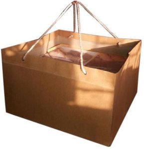 Plain Brown Kraft Paper Bag