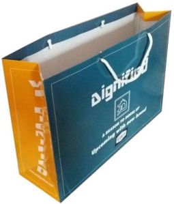 Promotional Paper Bag