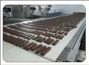 Food Grade Conveyor Belt