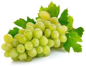 Fresh Green Grapes